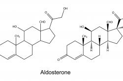 aldosterone